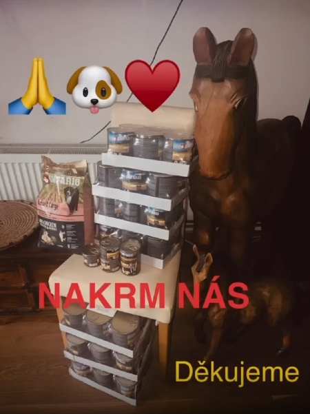 Berňáci v nouzi z.s.